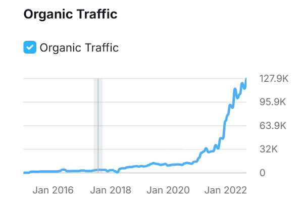 Organic Traffic Growth