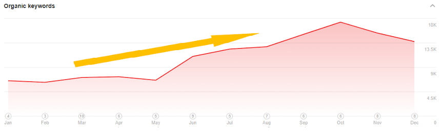 Branded vs. Non-Branded Traffic