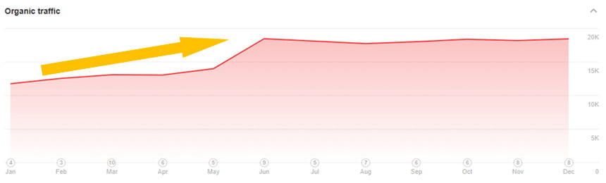 Branded vs. Non-Branded Traffic