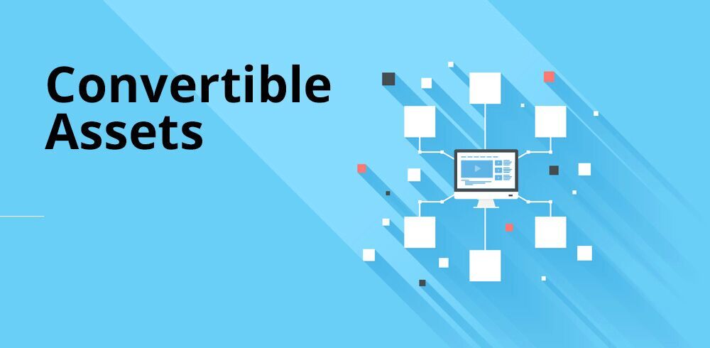 Convertible Assets Link Building
