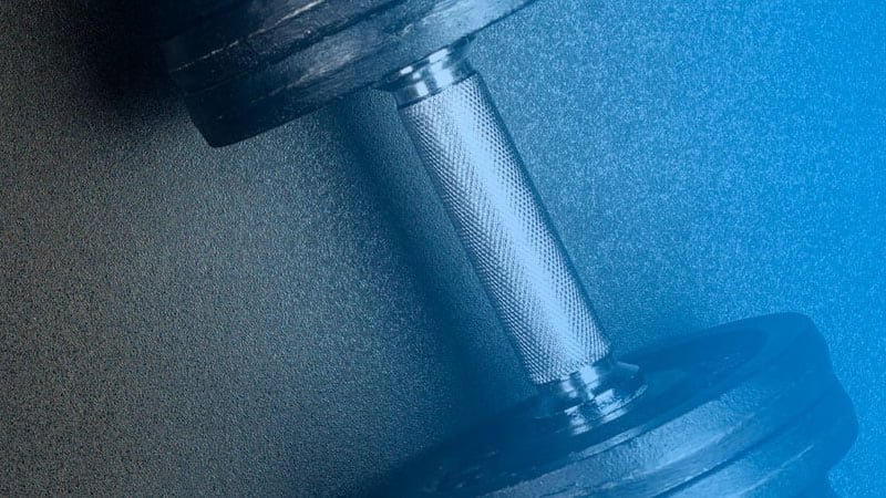 Fit Factory case study